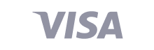 Visa payment method logo